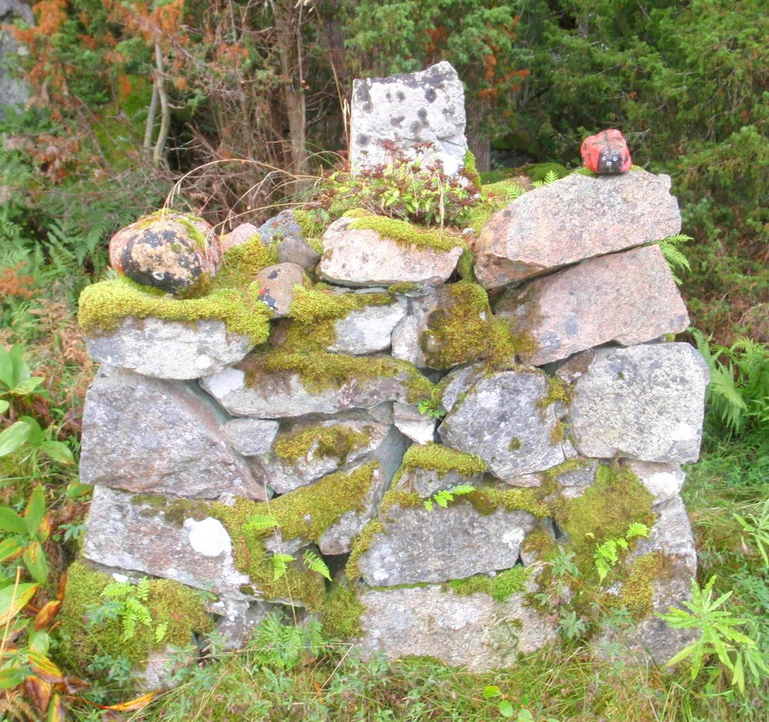 kids painted rocks as frogs and lady bugs.